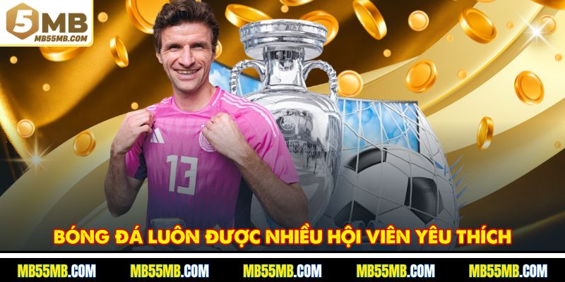 Bóng đá luôn được nhiều hội viên yêu thích