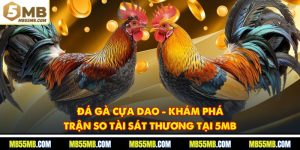 Đá Gà Cựa Dao - Khám Phá Trận So Tài Sát Thương Tại 5MB