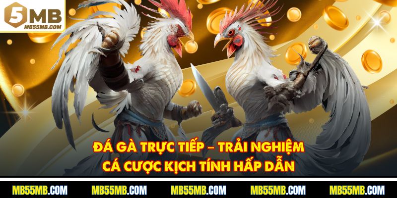 Đá Gà Trực Tiếp – Trải Nghiệm Cá Cược Kịch Tính Hấp Dẫn