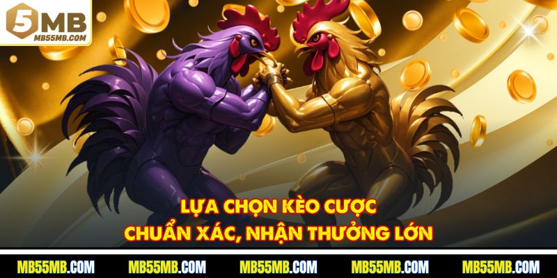 Lựa chọn kèo cược chuẩn xác, nhận thưởng lớn