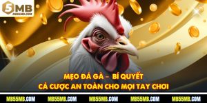 Mẹo Đá Gà –  Bí Quyết Cá Cược An Toàn Cho Mọi Tay Chơi