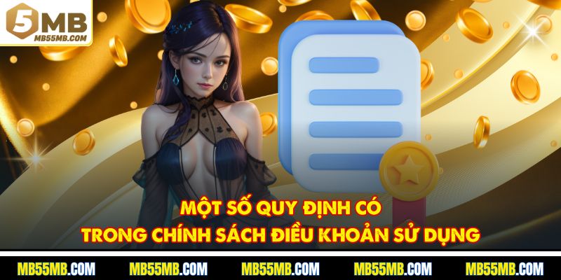 Một số quy định có trong chính sách điều khoản sử dụng