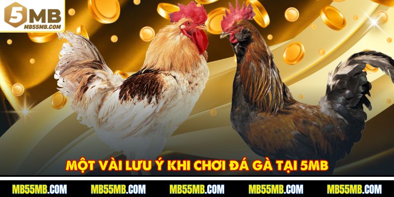 Một vài lưu ý khi chơi đá gà tại 5MB