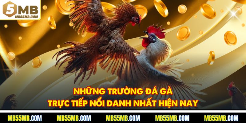 Những trường đá gà trực tiếp nổi danh nhất hiện nay