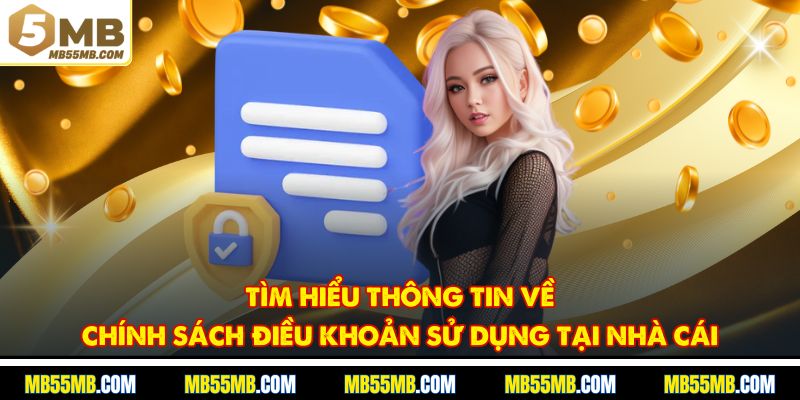 Tìm hiểu thông tin về chính sách điều khoản sử dụng tại nhà cái